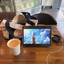 거인자동차정비 이미지