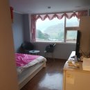 휘닉스그린텔 이미지