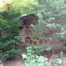 산전리(횡성)