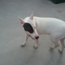 도봉-도봉-2431 이미지