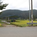 비지1리 이미지