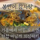 [봉만이 기흥점] 반주하기 좋은 감자탕 원탑 기흥구맛집 | 색다른 콩비지 감자탕 후기