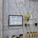 다산 MMA STORY 이미지