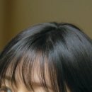 김정화헤어라인 네이버블로그