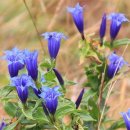 수정여인숙 이미지