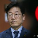 대연정
