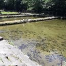 구천동휴게소 이미지