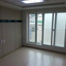 양지-3137 이미지