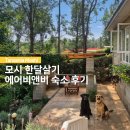 인터넷세상속으로 | 탄자니아 모시(Moshi) 한달살기: 숲 속 대저택, 에어비앤비 숙소 후기