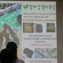 도봉-도봉-2191 이미지