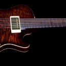 Private Stock 1609 Singlecut Hollowbody II Burnt Orange Burst 이미지