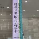 경남도립미술관 | 경남도립미술관 8월 전시 관람 후기