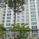 신당인덕3로-10 이미지