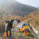 창구농장 이미지