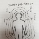 아스트랄체와 규소 이미지