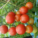 해오름농장 이미지