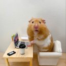 드림안마원 이미지