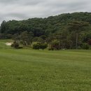 코스카cc 이미지