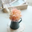 더봄 이미지