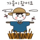 이세돌바둑학원 네이버블로그