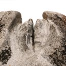 원암농장 이미지