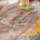 화랑수산 티스토리
