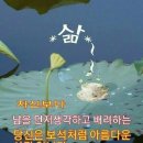 세기냉열 이미지
