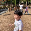 🍁현장체험학습 - 가을소풍(사상근린공원)2🍁 이미지
