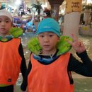 영수태권도 이미지