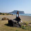 오조리사무소 이미지