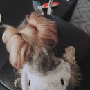 산남동물병원 이미지