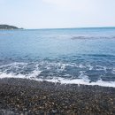 주전몽돌해변 이미지