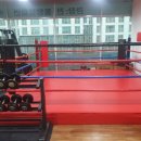 서충주YB복싱 | 나이를 거꾸로 돌리는 하체 강화 시니어 활력 프로젝트 - 서충주 yb복싱 충주시 대소원면복싱