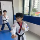 효성비각태권도장 이미지