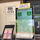 자작나무쉼터 | 유모차 가능 + 수유실 있음! 아기랑 용인 자작나무숲 봄꽃축제 후기