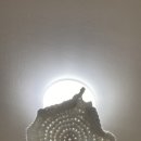 얀가든