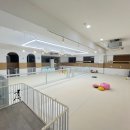 가치있개 반려견 유치원 이미지