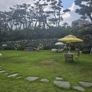 지리산하늘과바람과별과개 | 남원 애견카페 (지리산하늘과바람과별과개Cafe)반려견놀이터