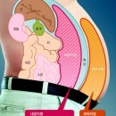 404피트니스 신호점 이미지