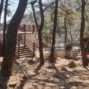 구봉산 도등 이미지