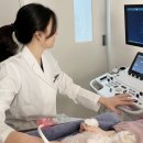 디아동물병원 이미지