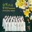 숨빛 - 서구 탄방로7번길 15 | 숨빛