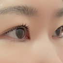 히미B