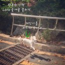 로로동물의료센터 이미지