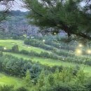 ⛳ [타이거CC] 라운딩 후기｜코스 상태부터 스코어까지 내돈내산 리뷰
