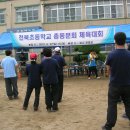 천북초등학교 이미지