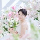 발라드 | 안양발라드지디 크리스탈캐슬홀 본식스냅 후기｜자연광 밝은웨딩홀 추천