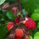 알이랑농장 이미지