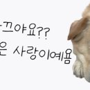 금시당맛집