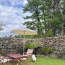 더포레스트하소로 이미지